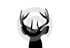 Whitetail Deer Buck Silhouette