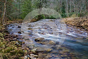 Whitetop Laurel Creek