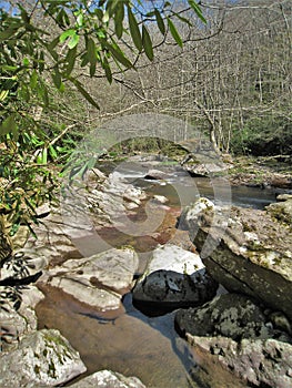 Whitetop Laurel Creek near Damascus, Virginia