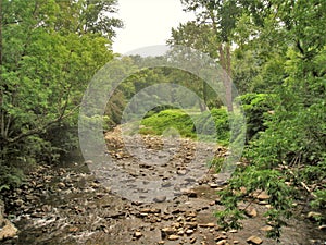 Whitetop Laurel Creek during Severe Drought