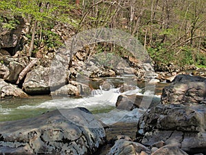 Whitetop Laurel Creek on Virginia Creeper Trail