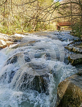 Whitetop Laurel Creek Waterfall in Virginia