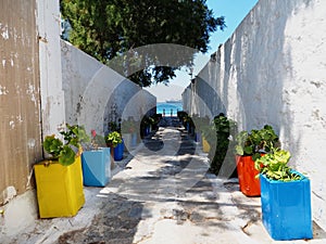 Whitewashed Ally With Colorful Planters photo