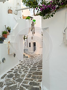 Whitewashed buildings empty alley at Naousa village, Paros island, Greece. Vertical