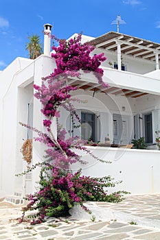 Whitewashed House at Greece