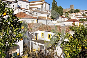 Whitewashed houses. Obidos. Portugal