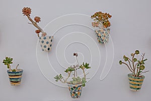 Whitewashed wall with pots of colorful flowers and plants on the facade