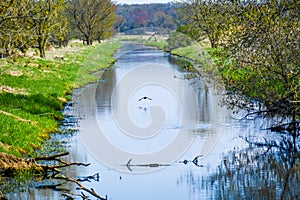 Whitewater Creek - Walworth County, Wisconsin