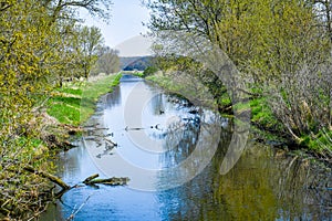 Whitewater Creek - Walworth County, Wisconsin