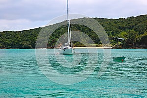 Whitianga Harbour, Whitianga, Coromandel Peninsula, NZ photo