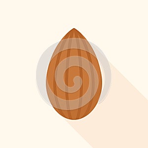 Whole Almond Nut Flat Vector Illustration