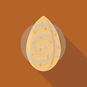 Whole Almond Shell Flat Vector Illustration