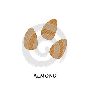 Whole almonds nuts without shell. Simple colored fruits icon. Delicious edible nut hand drawn in minimalistic flat style