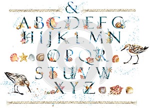 Whole Aquatic Alphabet Set Collection with seashells, coral branch composition.