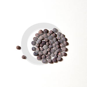 Whole aromatic allspice roung pattern isolated on white background.