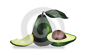 Whole avocado with leaf isolated on white background. Keto diet hand drawing. Organic food. Healthy eating concept