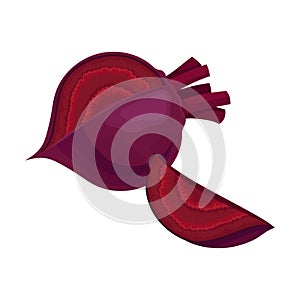 Whole Beet-Root Without Beet Tops Vector Illustration