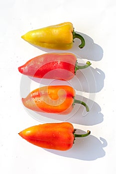 Whole Bell Peppers red green yellow orange in water drops on white background Isolated top view close up