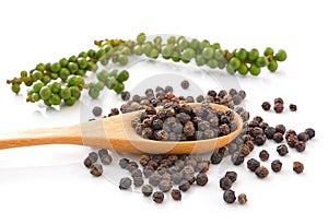 Whole Black Pepper Granules and Bunches of fresh gree