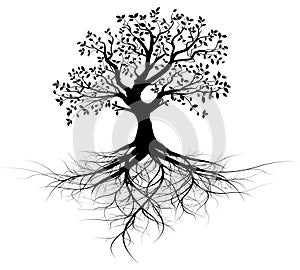 Whole black tree with roots - vector
