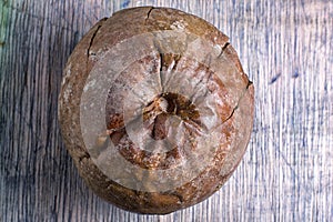 Whole borojo fully ripe fruit closeup