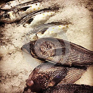 Whole Branzino and Black Sea Bass