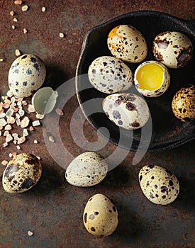 Whole and broken quail eggs