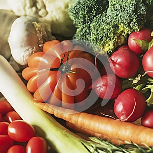 A whole bunch of healthy vegetables ready to cook