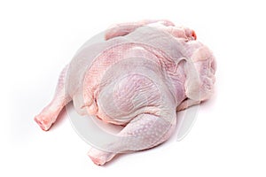 A whole chicken carcass on a white background