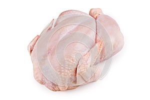 Whole chicken carcass on a white background photo