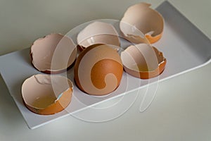 Whole chicken egg among the shells. survivorship bias