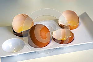 Whole chicken egg among the shells. One whole chicken egg among the shells