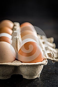 Whole chicken eggs in eggbox