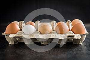 Whole chicken eggs in eggbox