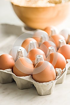 Whole chicken eggs in eggbox