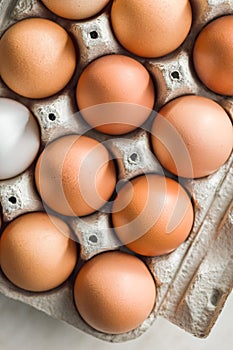 Whole chicken eggs in eggbox. Top view