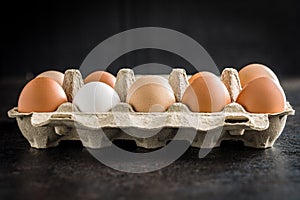 Whole chicken eggs in eggbox photo