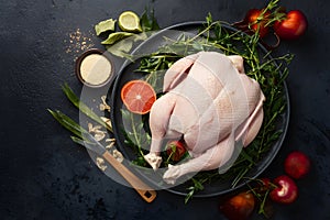 Whole chicken meat prepared for various culinary creations