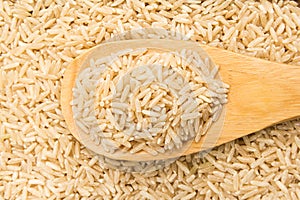 Whole Chinese Rice seed. Grains in wooden spoon. Close up.