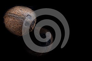 whole coconut on a black background a