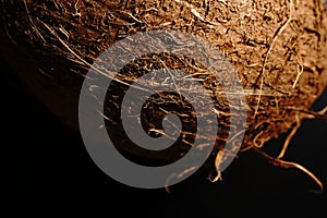 A whole coconut on a black background. The light was dim.