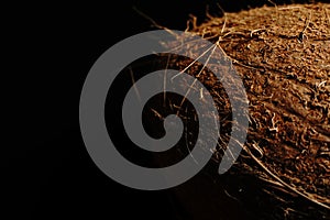 A whole coconut on a black background. The light was dim.