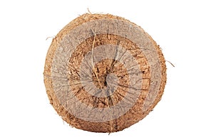 Whole coconut isolated on white background. Full depth of field