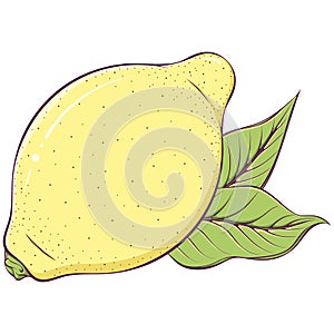 Whole colored lemon with leaves