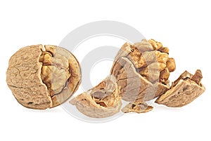 Whole and cracked walnuts isolated on white background. Front view of dried walnuts