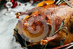 Whole crispy golden roast duck with orange slices for a festive occasion served on an oven tray, Dish for Christmas Eve. close up