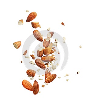 whole and crushed almonds photo