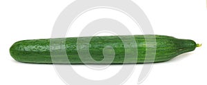 Whole cucumber isolated on white background