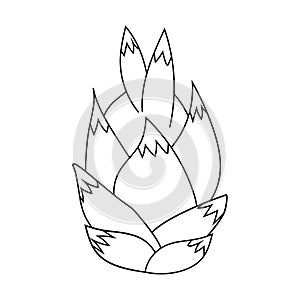 Whole dragon fruit or pitaya, doodle style flat vector outline for coloring book
