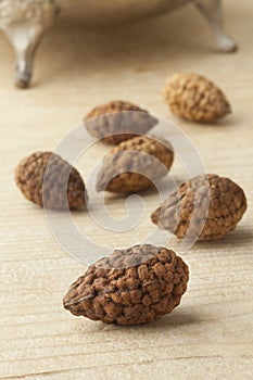 Whole dried caperberries